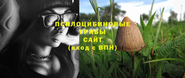первитин Новодвинск
