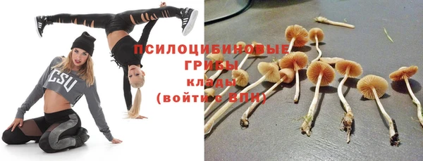 ешки Нея