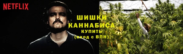 а пвп мука Новозыбков