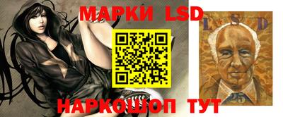 гидропоника Абинск