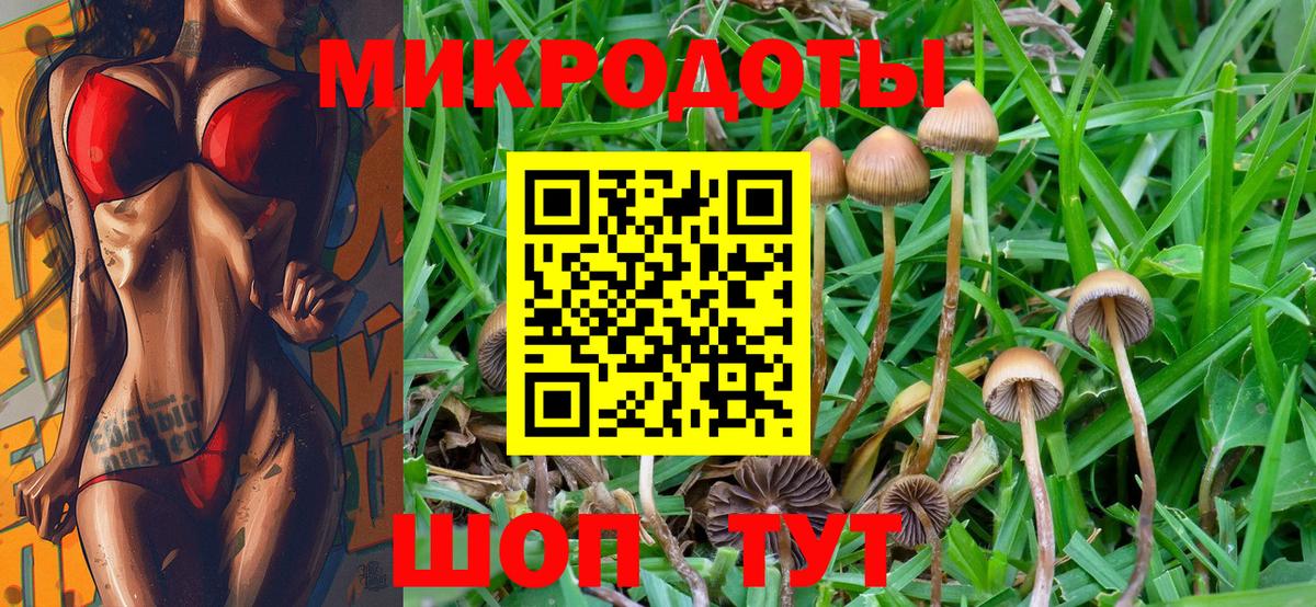 Галлюциногенные грибы Psilocybe Лангепас